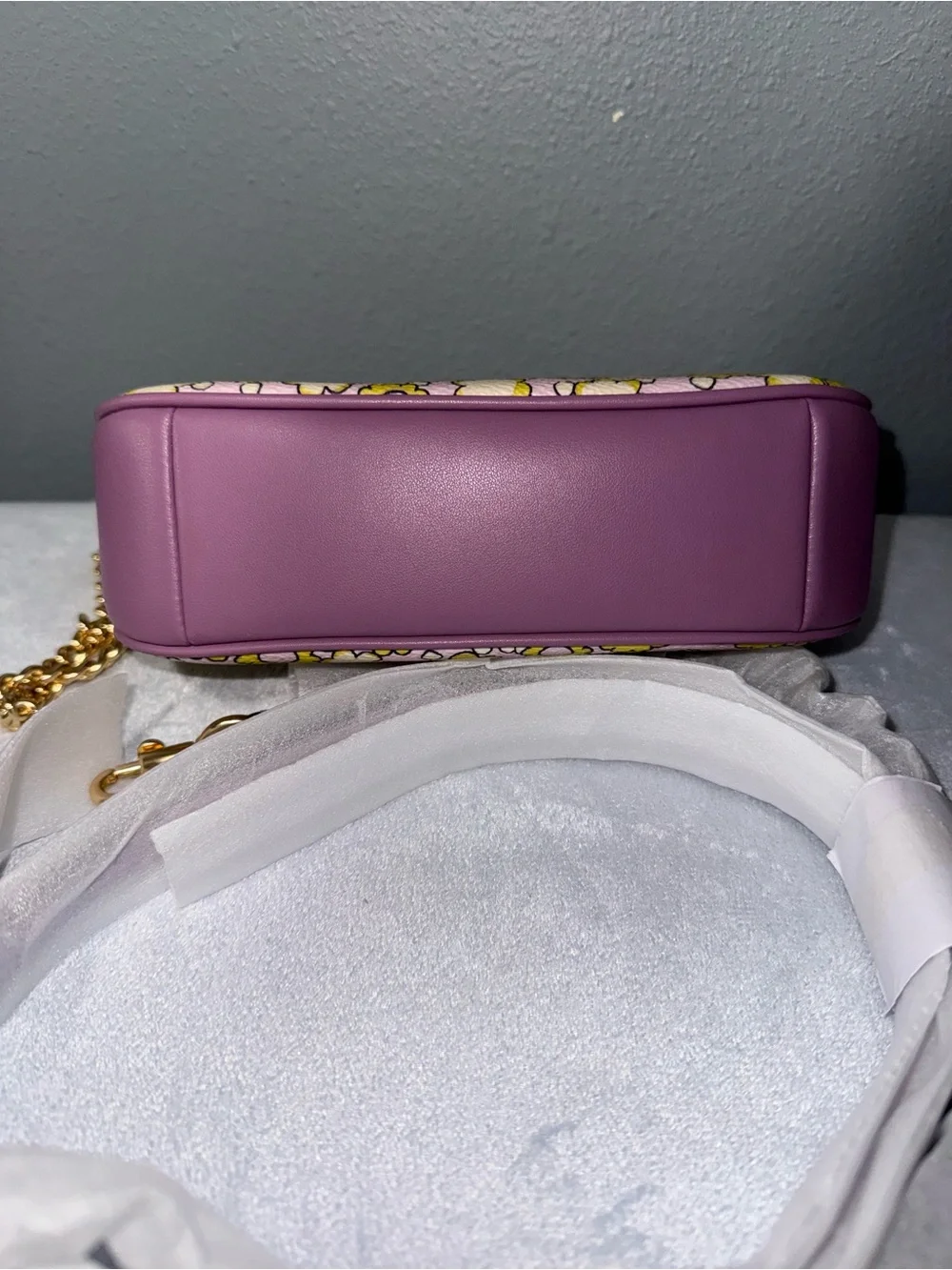 Coach Teri mini crossbody/shoulder bag